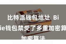 比特派钱包地址 Bitpie钱包禁受了多重加密算法