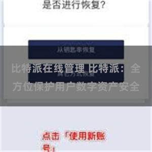 比特派在线管理 比特派：全方位保护用户数字资产安全