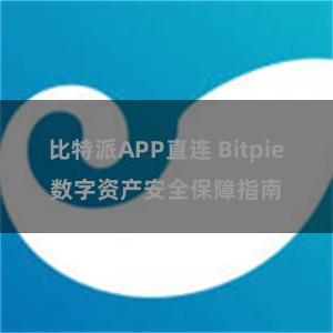 比特派APP直连 Bitpie数字资产安全保障指南