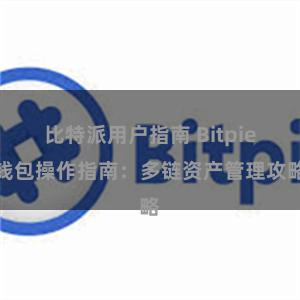 比特派用户指南 Bitpie钱包操作指南：多链资产管理攻略