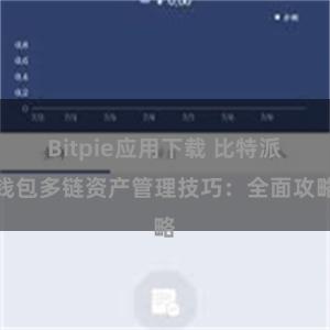 Bitpie应用下载 比特派钱包多链资产管理技巧：全面攻略