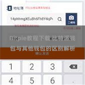 Bitpie教程下载 比特派钱包与其他钱包的区别解析