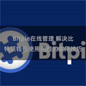 Bitpie在线管理 解决比特派钱包使用问题的实用技巧