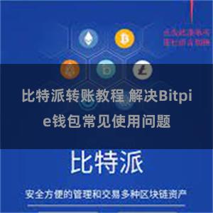 比特派转账教程 解决Bitpie钱包常见使用问题