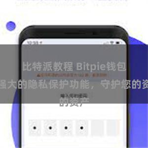 比特派教程 Bitpie钱包：强大的隐私保护功能，守护您的资产