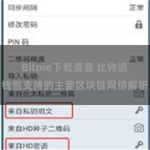 Bitpie下载资源 比特派钱包支持的主要区块链网络解析