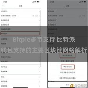 Bitpie多币支持 比特派钱包支持的主要区块链网络解析