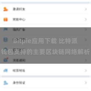 Bitpie应用下载 比特派钱包支持的主要区块链网络解析