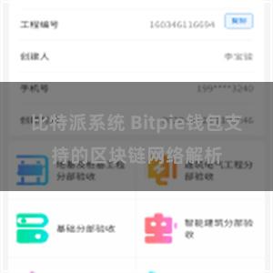 比特派系统 Bitpie钱包支持的区块链网络解析