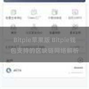 Bitpie苹果版 Bitpie钱包支持的区块链网络解析