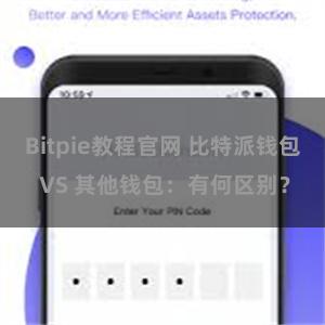 Bitpie教程官网 比特派钱包 VS 其他钱包：有何区别？