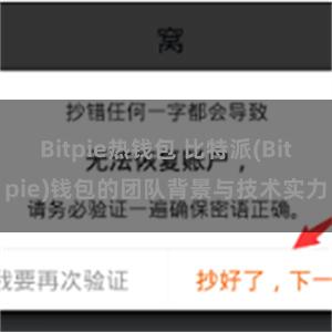 Bitpie热钱包 比特派(Bitpie)钱包的团队背景与技术实力