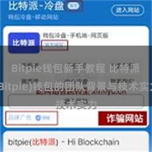 Bitpie钱包新手教程 比特派(Bitpie)钱包的团队背景与技术实力