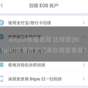 Bitpie教程官网 比特派(Bitpie)交易历史记录在哪里查看？