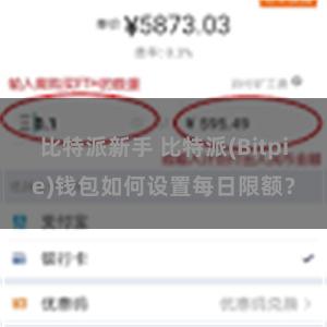 比特派新手 比特派(Bitpie)钱包如何设置每日限额？