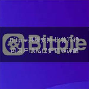 Bitpie系统支持 比特派钱包用户隐私保护措施详解