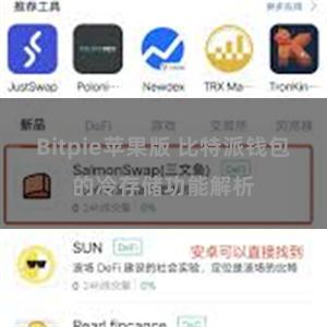 Bitpie苹果版 比特派钱包的冷存储功能解析