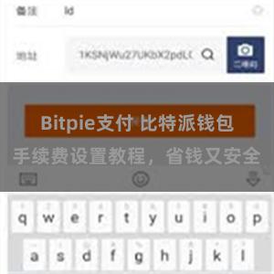 Bitpie支付 比特派钱包手续费设置教程，省钱又安全