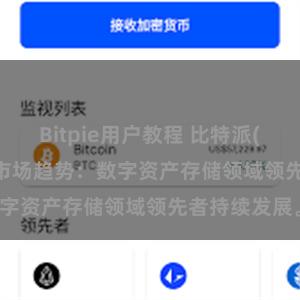 Bitpie用户教程 比特派(Bitpie)钱包市场趋势：数字资产存储领域领先者持续发展。