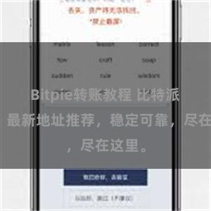 Bitpie转账教程 比特派官网，最新地址推荐，稳定可靠，尽在这里。