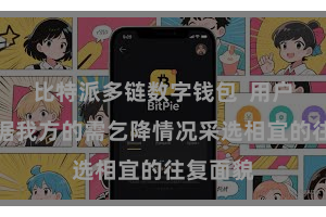 比特派多链数字钱包  用户不错凭据我方的需乞降情况采选相宜的往复面貌