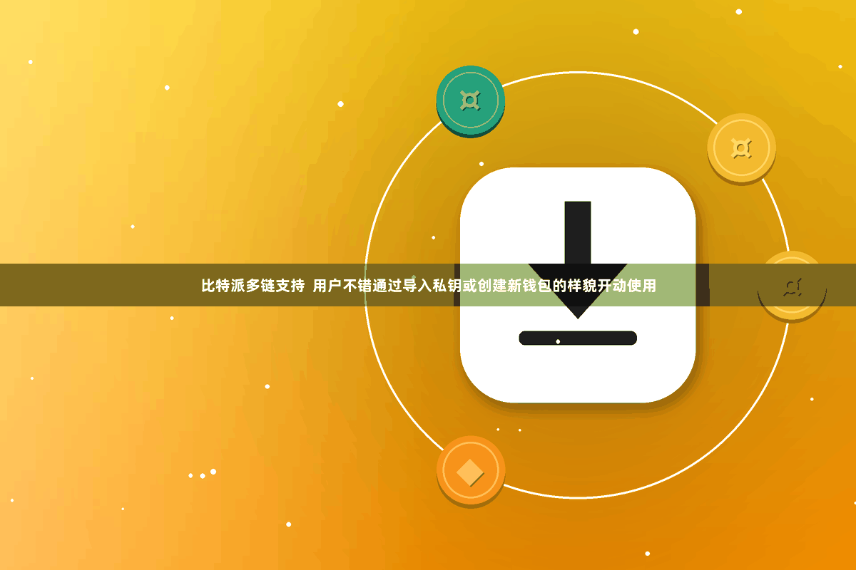 比特派多链支持  用户不错通过导入私钥或创建新钱包的样貌开动使用